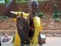 Bushmeat: Its whats for dinner!