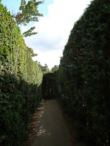 lost in a maze in Hampton Court Palace