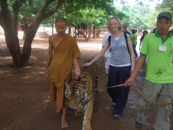 Walking with Tigers!