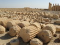 Fallen colums at temple of Bel
