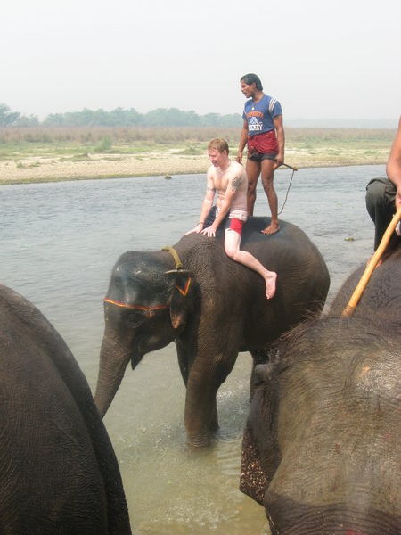 My second go on the elephants