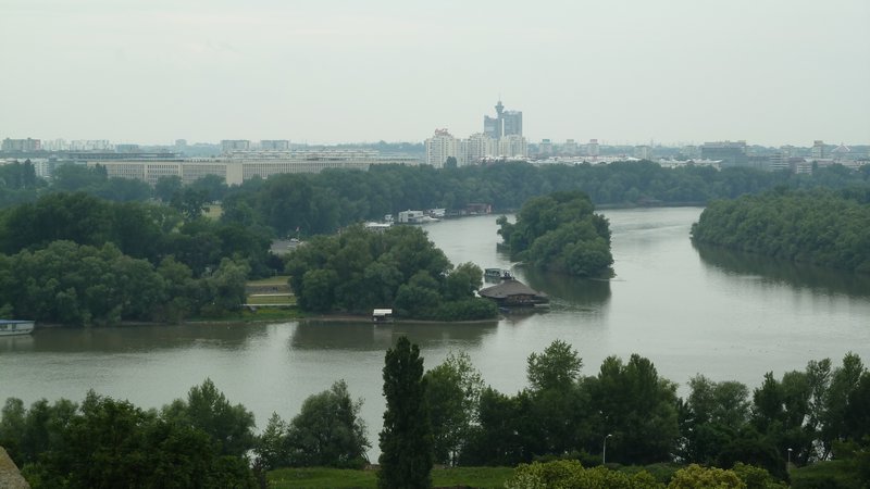 Sava and Danube river