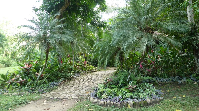 The grounds of the lodge