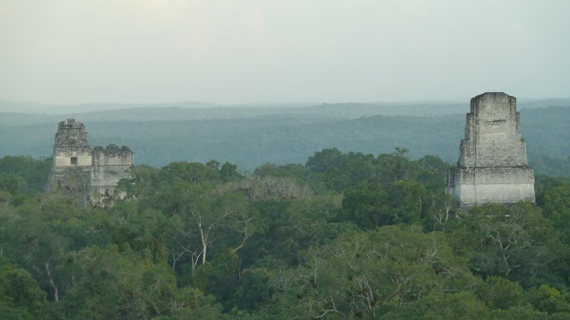 View from Temple 4