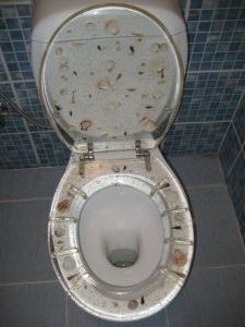 woo-hoo, another toilet!