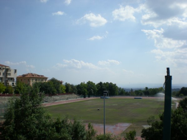 Calcio field