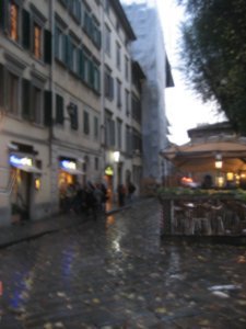 Rainy Florence
