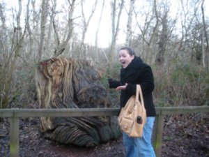 Giant Tree Stump!