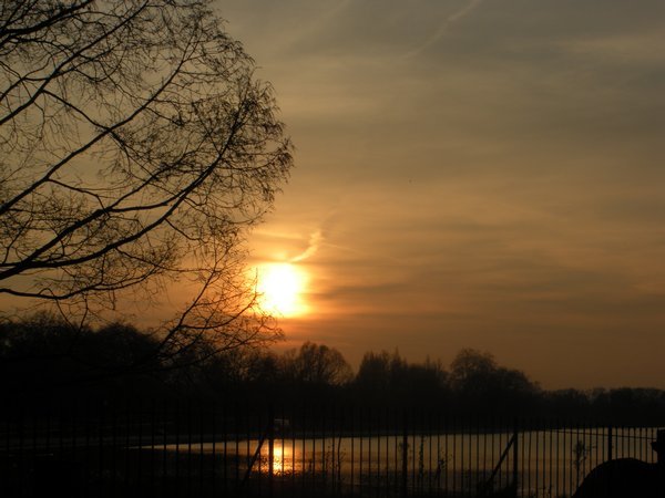 Sunset; Hyde Park
