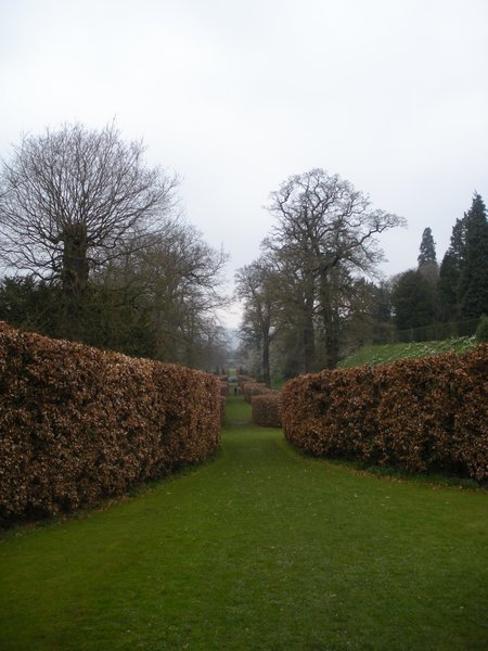 Hedge Path