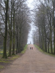 Treelined Walkway