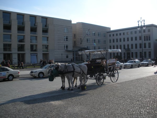 Horse and Carriage in Paris Platz