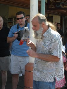 Man and Parrot