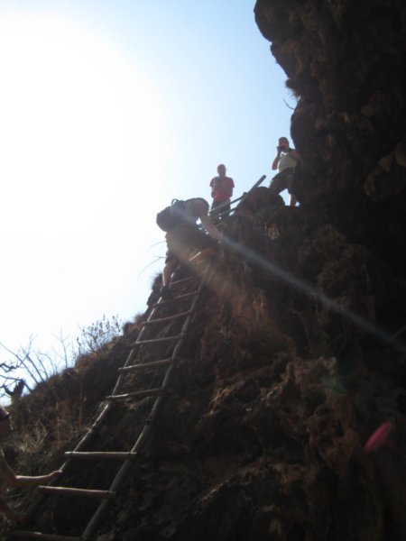 The ladder we climbed down
