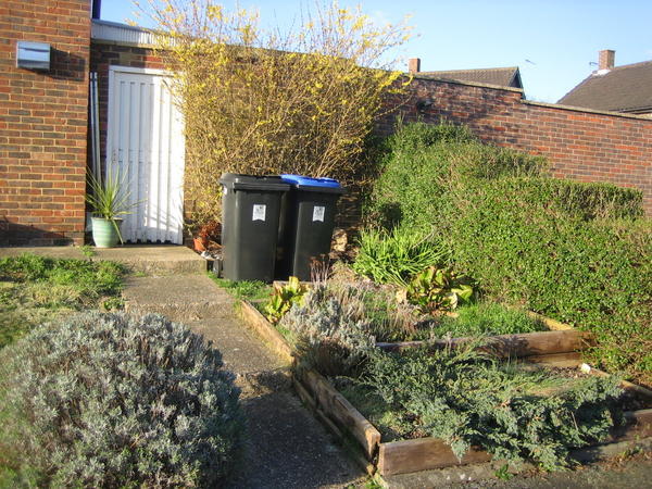 Close up of right hand side of front garden