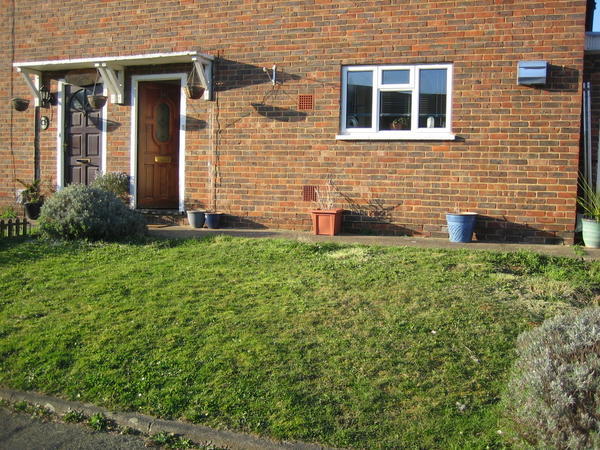 Close up of left hand side of front garden