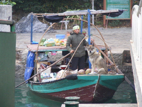 A Whole Market on a Boat in Halong Bay