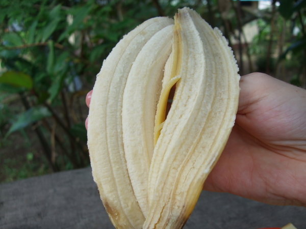 Double banana