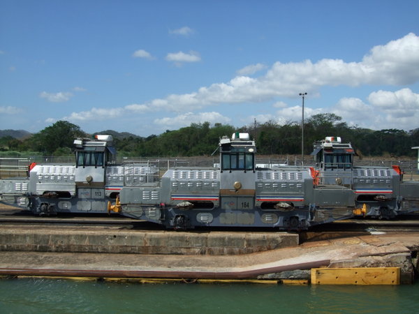 The locomotives used to guide large ships through the locks