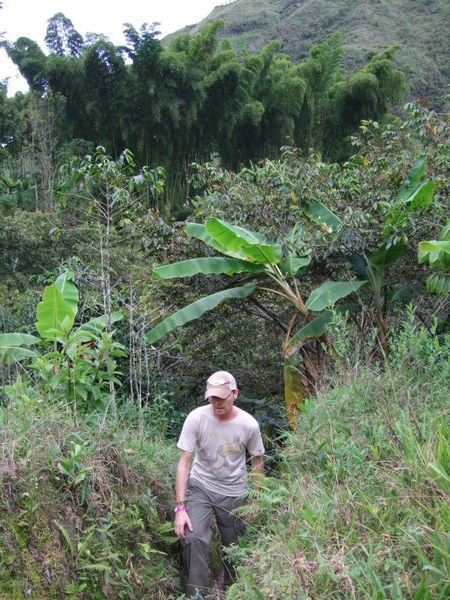 Trekking through the jungle