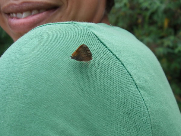 Even the butterflies are friendly in Colombia!