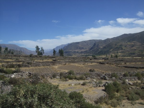View from the road to Cabanaconde