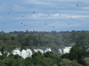 First glimpse of the falls from Brazil