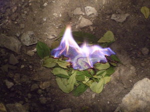 Burning coca leaves