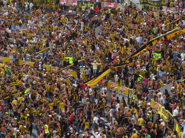 The Penarol home support