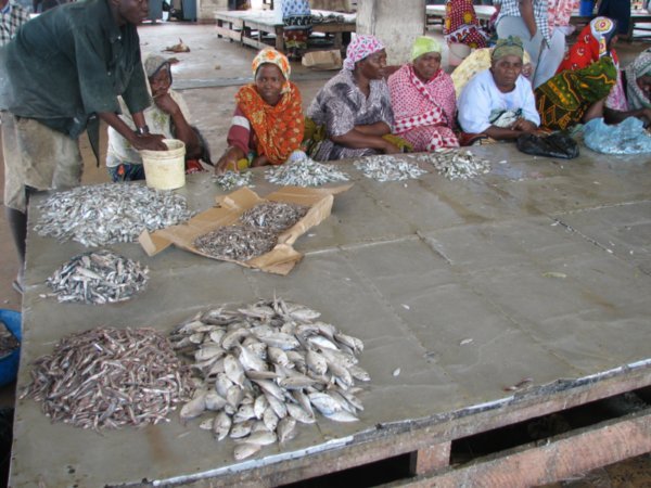 women at the fish market