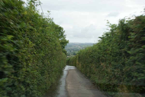 The Country Lanes