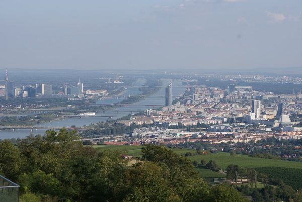 Vienna Panorama
