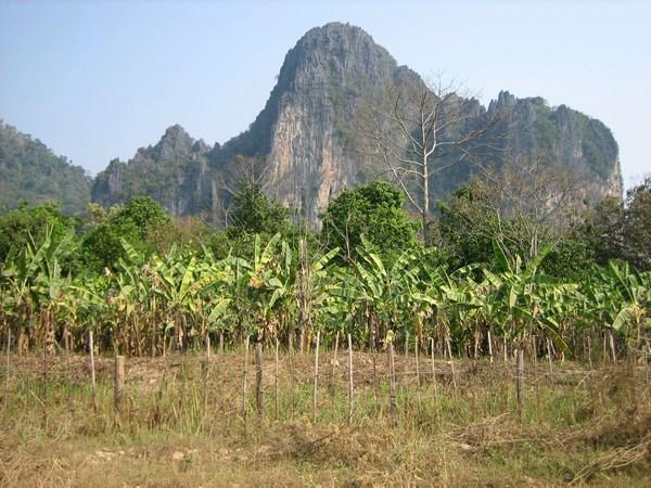 Vang Vieng--Scenery on Our Bike Ride