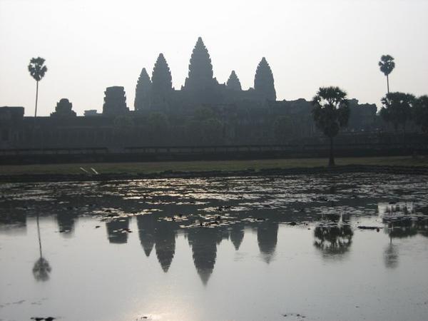Angkor Wat and Lilly pond