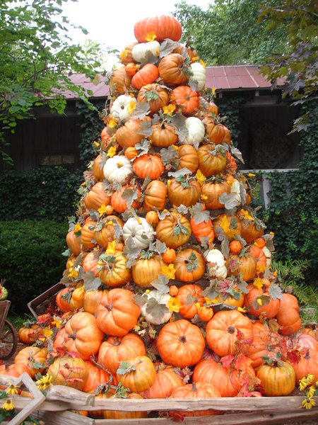 A big pile of pumpkins
