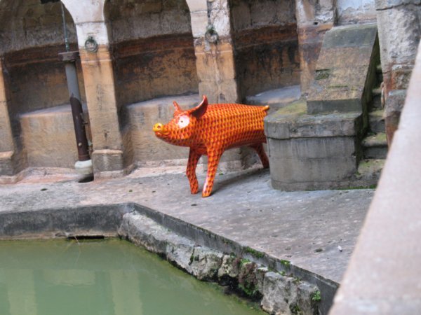 One of Bath's pig statues