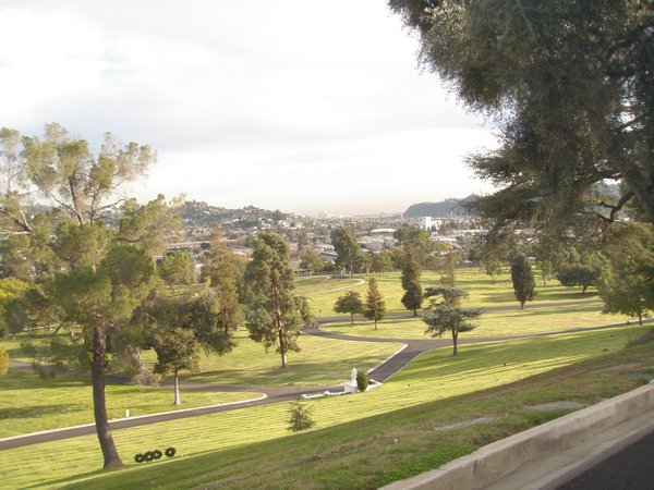Forest Lawn view