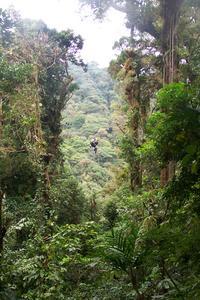 One of the zip lines