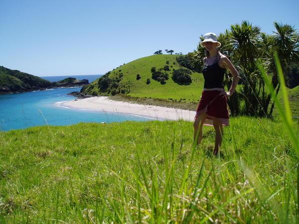 Bay of islands living up to it's name