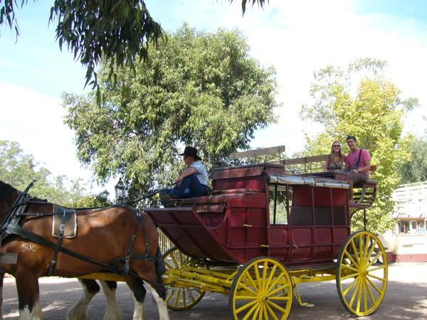 Horse Drawn Carriage!