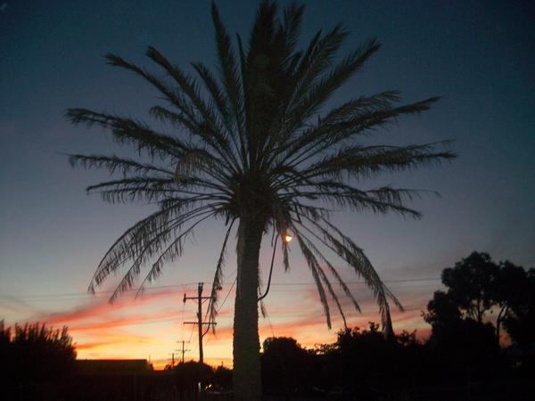 Echuca Sunset