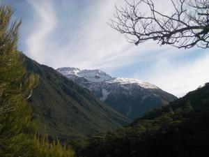 View From Arthur's Pass