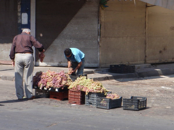 Shopping for grapes