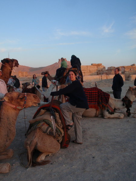 Camel riding over Palmyra