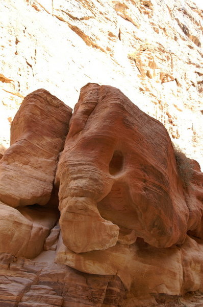Elephant rock