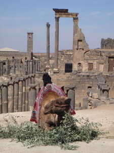 The black-basalt town of Bosra