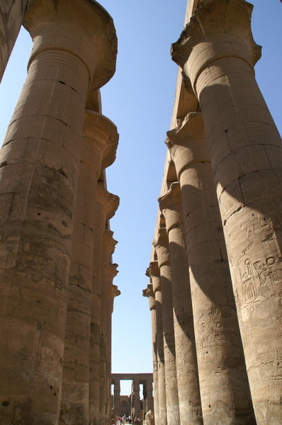 The processional colonnade - Luxor Temple