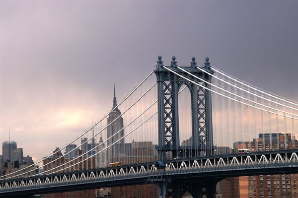 NY City Views