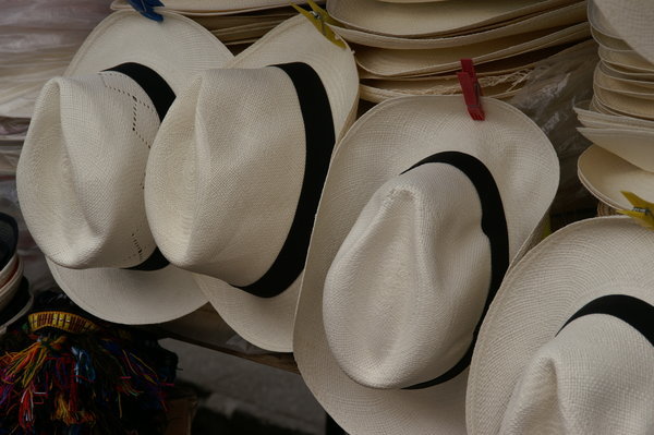 Panama Hats in Ecuador