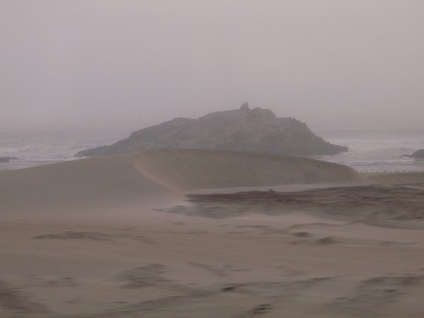 A glimpse of the beach from the dunes